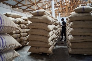 Asante Bekwai, Ghana: Nyonkopa cocoa buying depot. Pic: Nana Kofi Acquah/Barry Callebaut