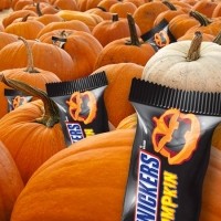 Snickers Halloween pumpkins singles