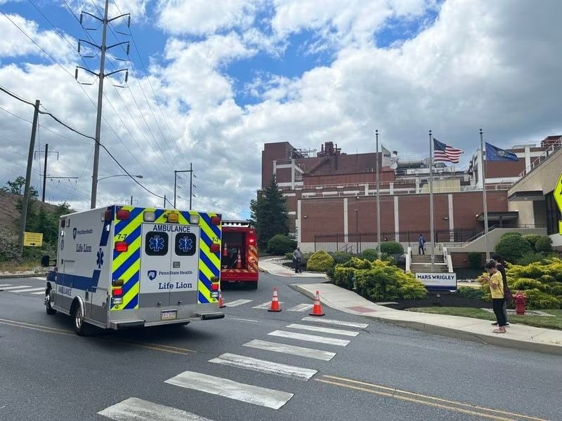 Authorities fine Mars Wrigley for factory accident after contractors fell into chocolate tank