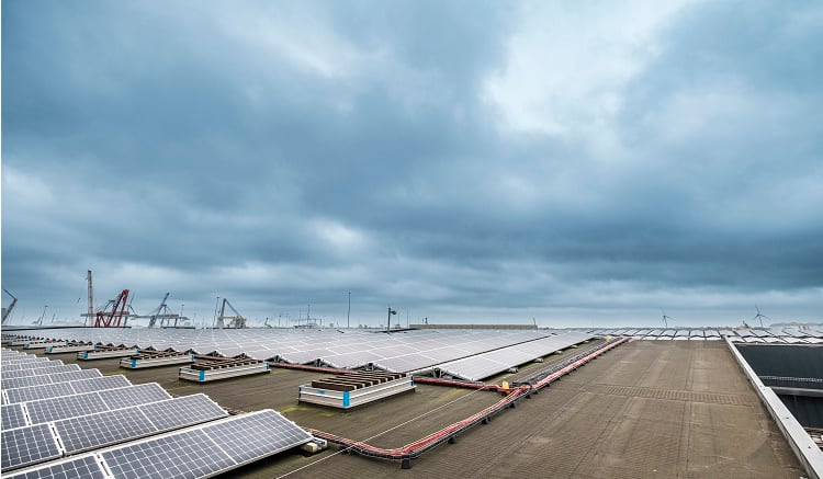 OFI to open green powered cocoa bean warehouse