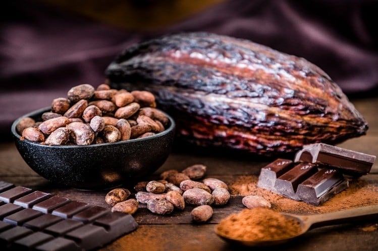 Host city wanted for next ICCO Symposium on Cocoa Research