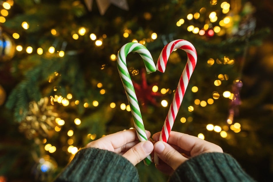 Oh! Oh! Oh! Is there a right way to eat a candy cane?