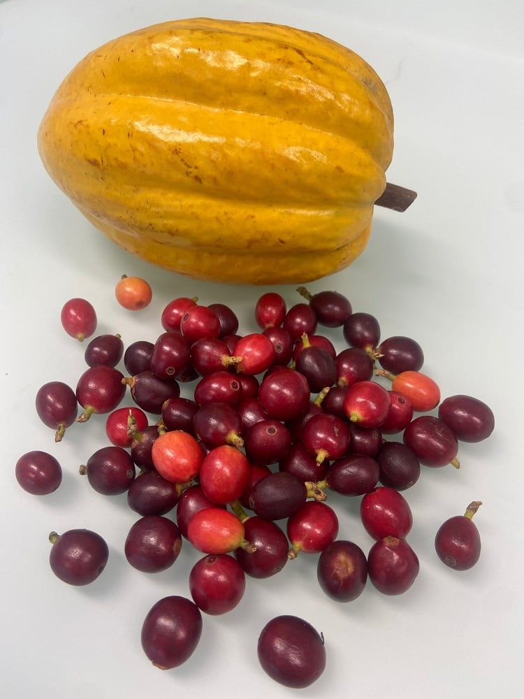 FoodBrewer_SourcedPlants_2024.jpg