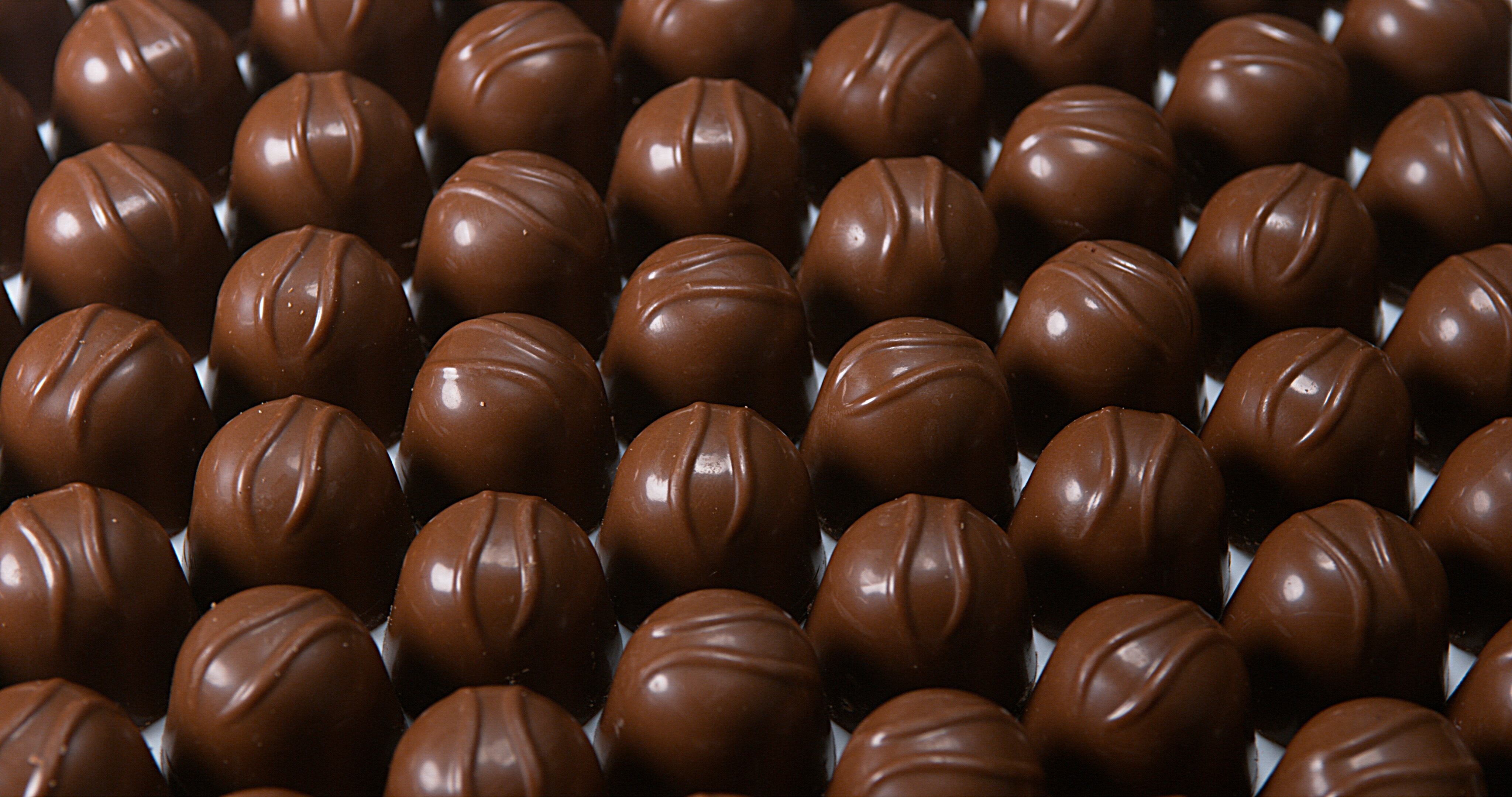 Chocolate truffles on factory conveyor belt.