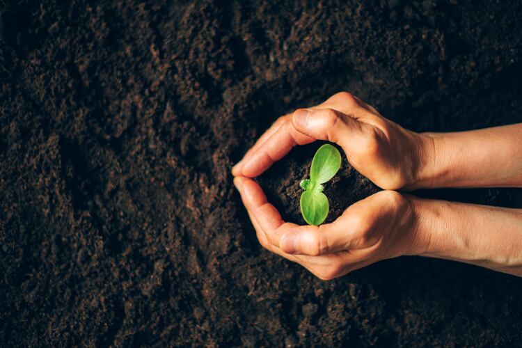 How-Nestle-is-supporting-regenerative-agriculture-We-need-to-source-in-the-right-way.png