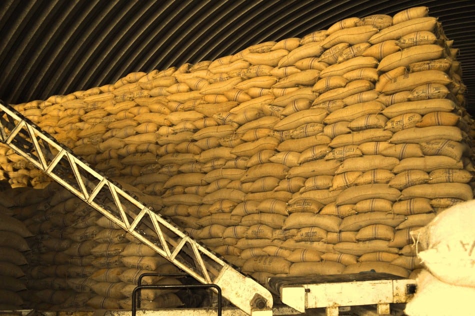 Are we heading for a shortage of cocoa?
