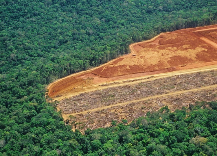 From deforestation to human rights: EU urged to put indigenous perspective at centre of EU policy