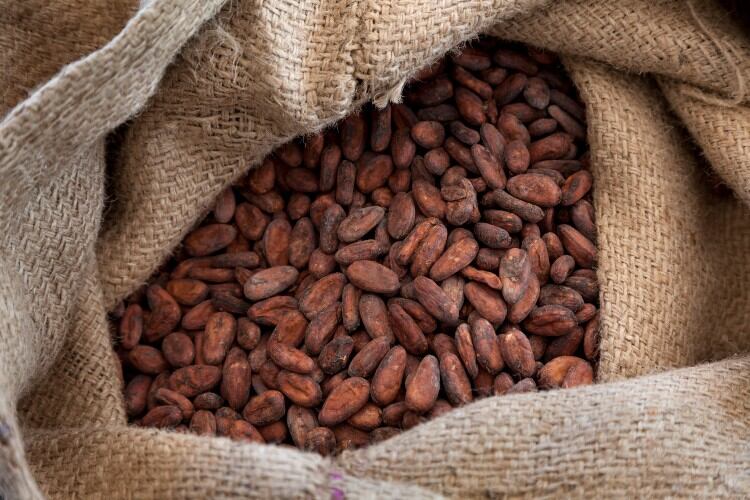 Preventing-damages-to-cocoa-beans-in-transit-through-increased-supply-chain-transparency.jpg