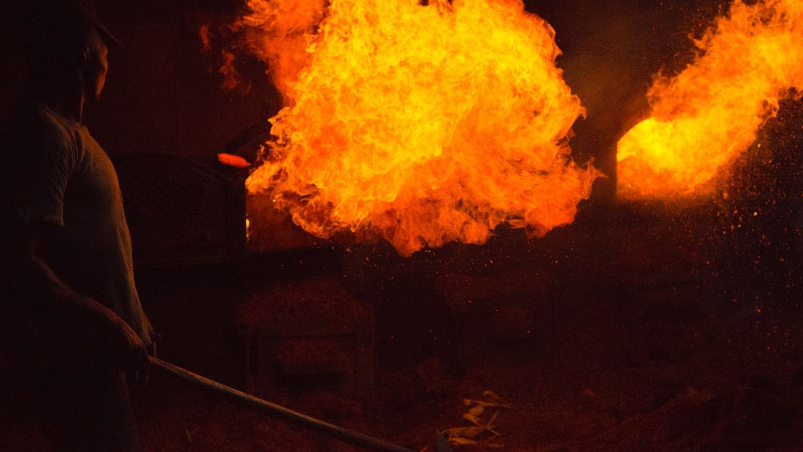palm-fire.jpg