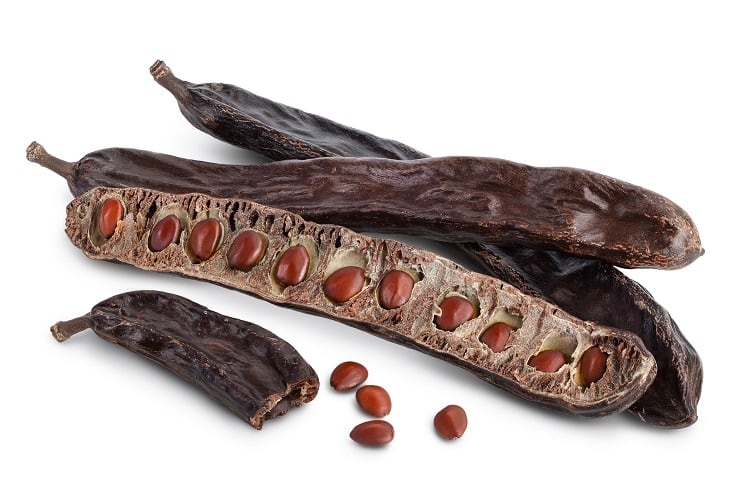 carob-kolesnikovserg.jpg