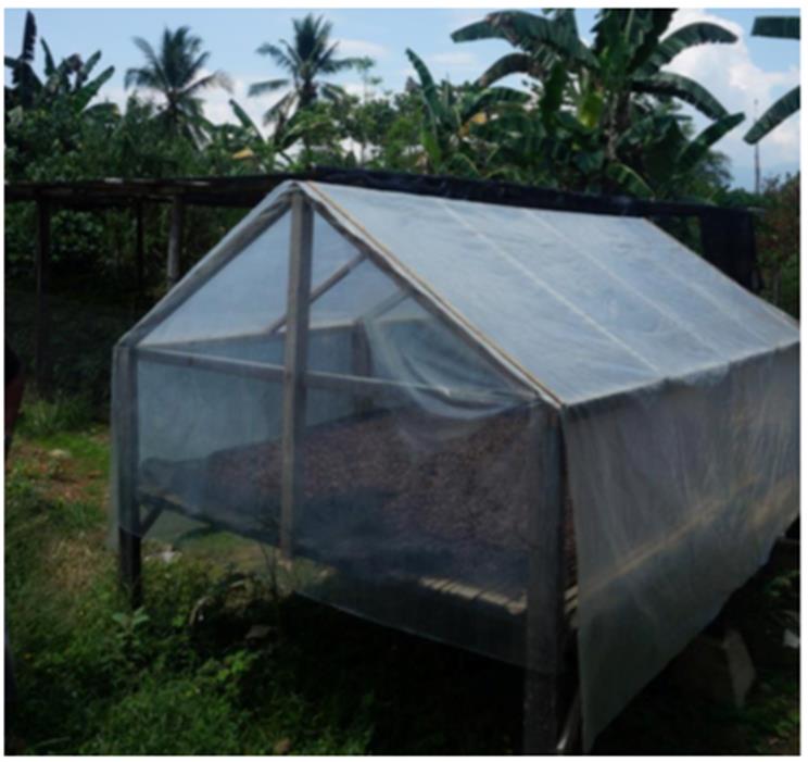 solar-drying.jpg