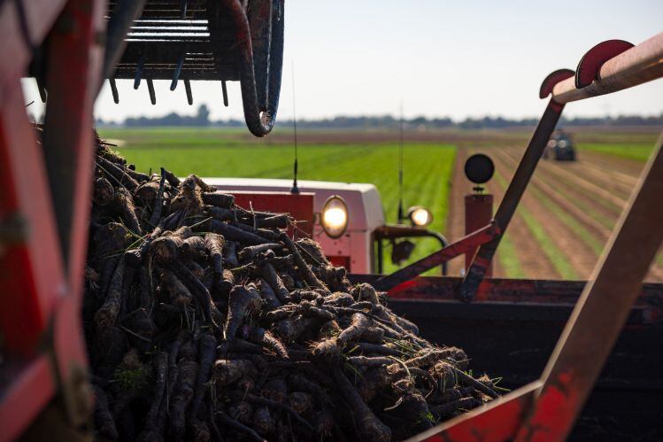 Talking sustainability and food colors with GNT: ‘Of course, natural does not automatically mean sustainable…’