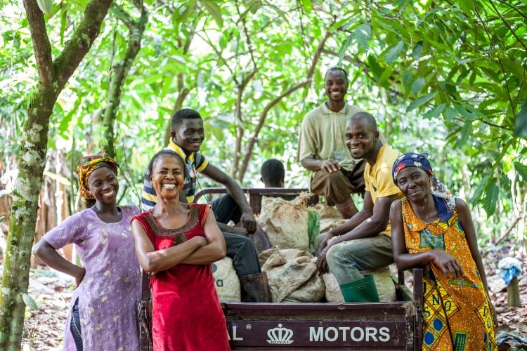Mondelēz plants more than 2.2m non-cocoa trees to help restore ecosystems on cocoa farms 