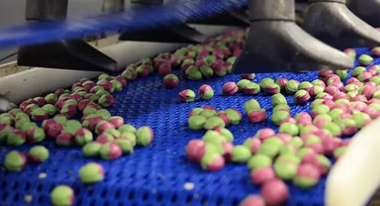 British bon bon confectioner Bristows of Devon announces new hires and factory upgrade