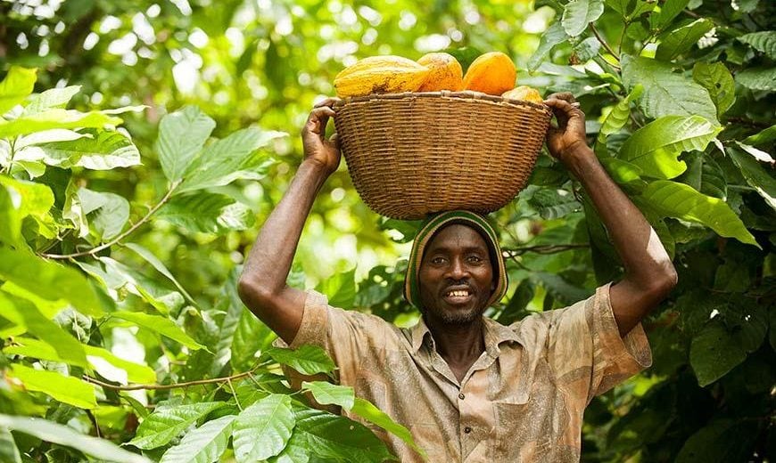 West-African-cocoa-farmers-benefit-from-Fairtrade-s-producer-programme.jpg