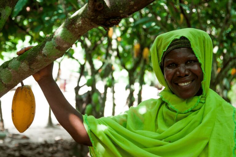 ‘Local realities’ at the heart of World Cocoa Foundation’s new strategy, as members prepare to meet in Amsterdam