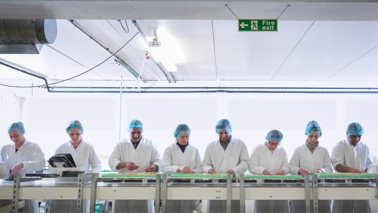 NPD: Understanding the ‘most important’ process in food manufacturing