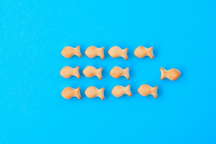 Deep dive into the secrets of keeping a brand vital through brand licensing