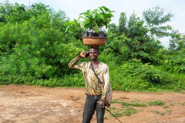 How-Ghana-s-cocoa-farmers-can-benefit-from-digital-payments.jpg