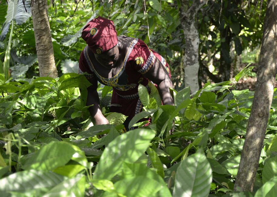 cocoa-life-female-farmer-resized.png