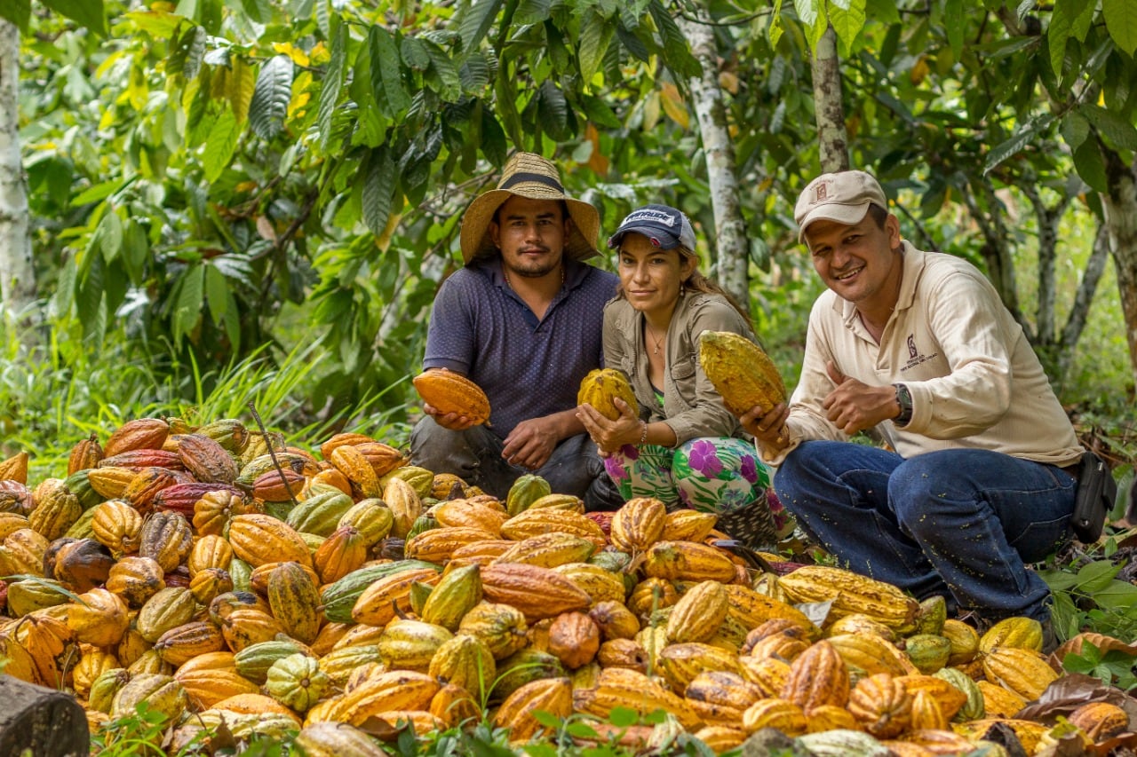 With cocoa output in Colombia rising, farmers look for signs of economic progress as well as recognition