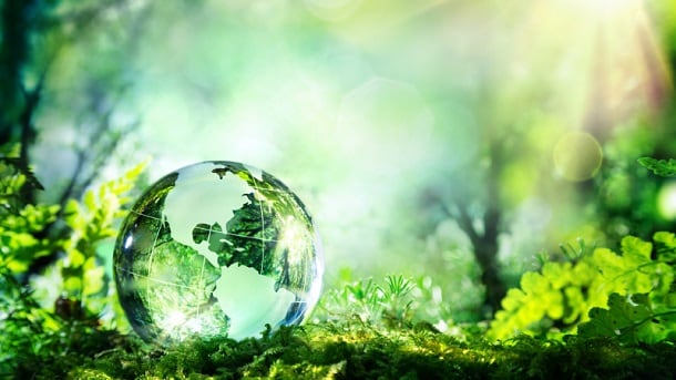 Sustainable-world-sun-shining.jpg
