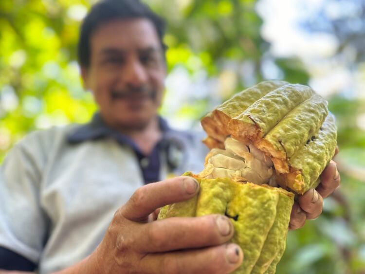 Pachakuti Cacao