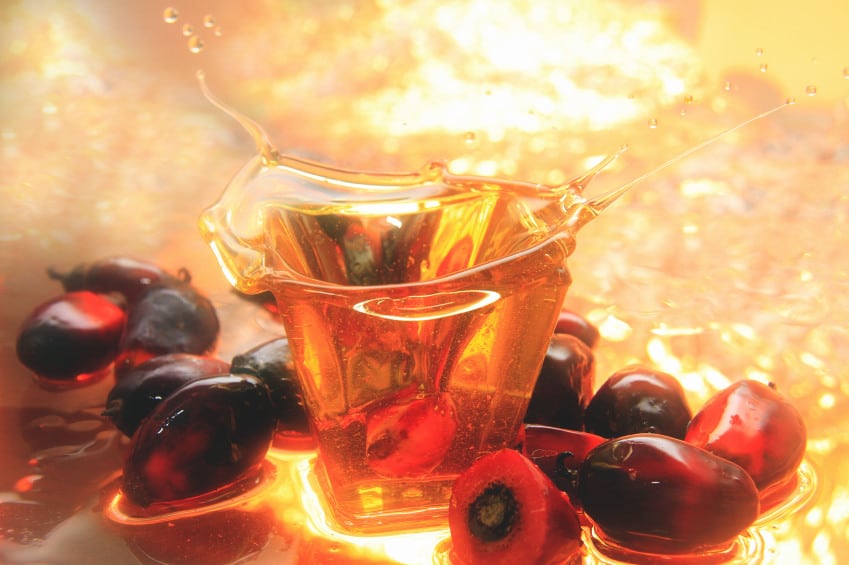 palm-oil-Copyright-taffpix.jpg
