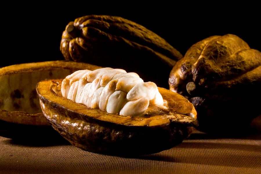 cocoa-lindt.jpg