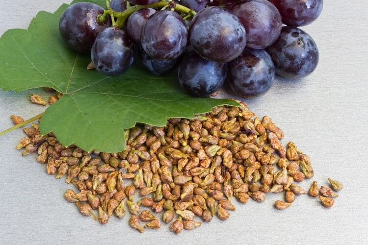grape-seeds-Dimijana.jpg