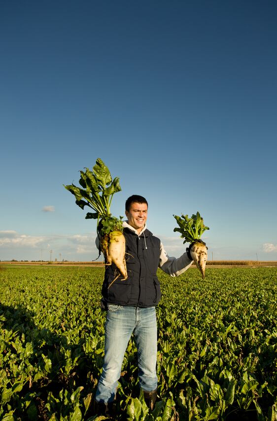 sugar-beet-farmer-Copyright-Jevtic.jpg