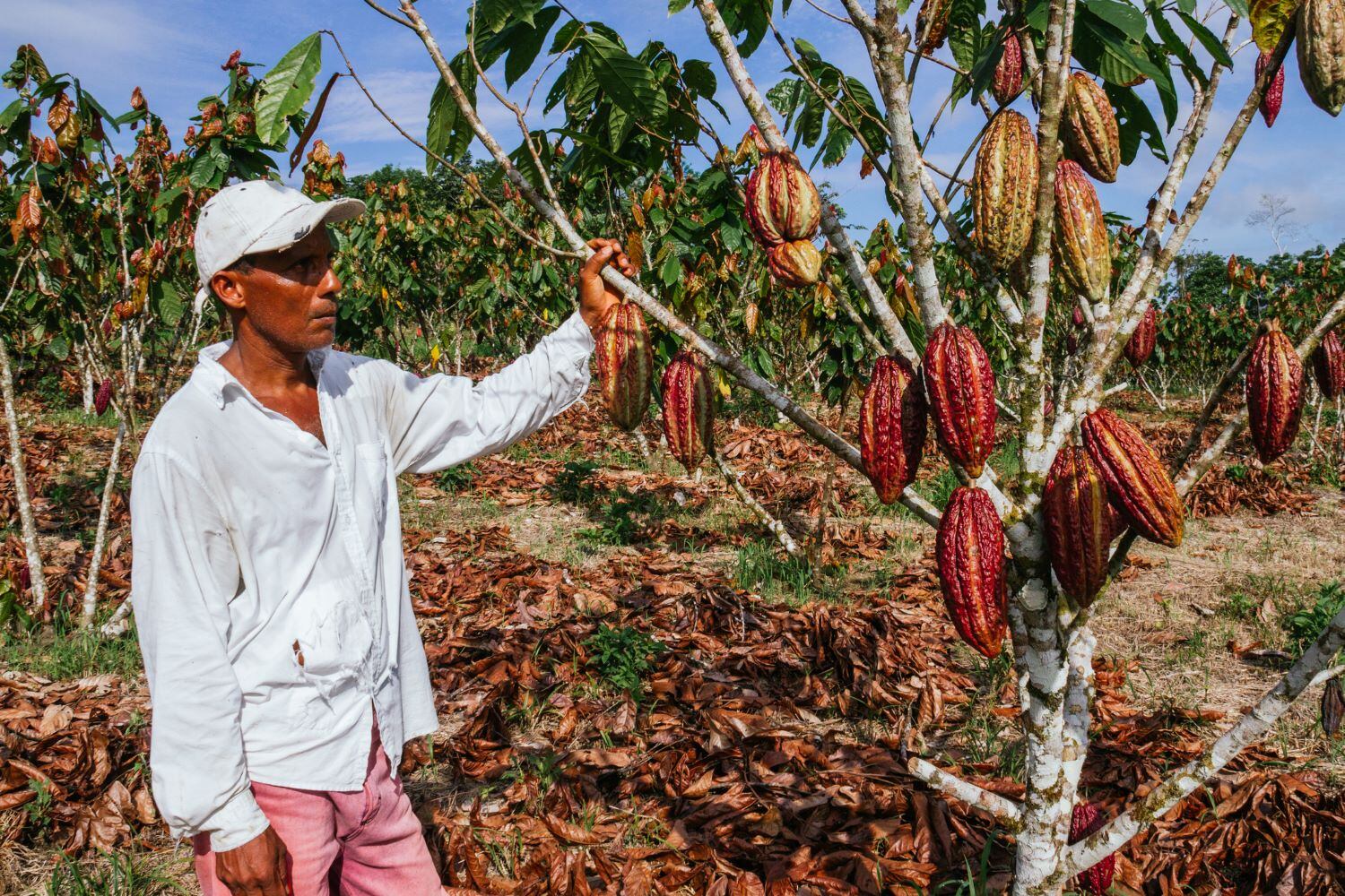 Farmers building climate resilience face $151 billion financing gap