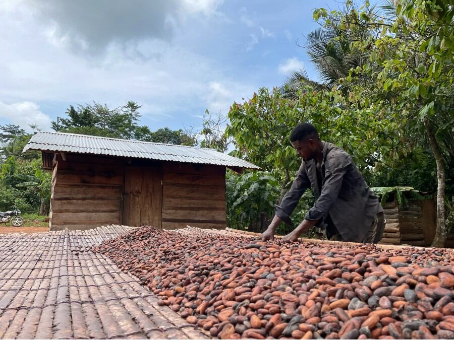 New ethical chocolate bar made in Ghana gets UK distribution