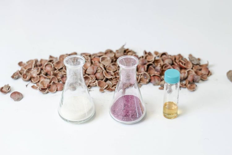 Bloom-Biorenewables-Barry-Callebaut.jpg