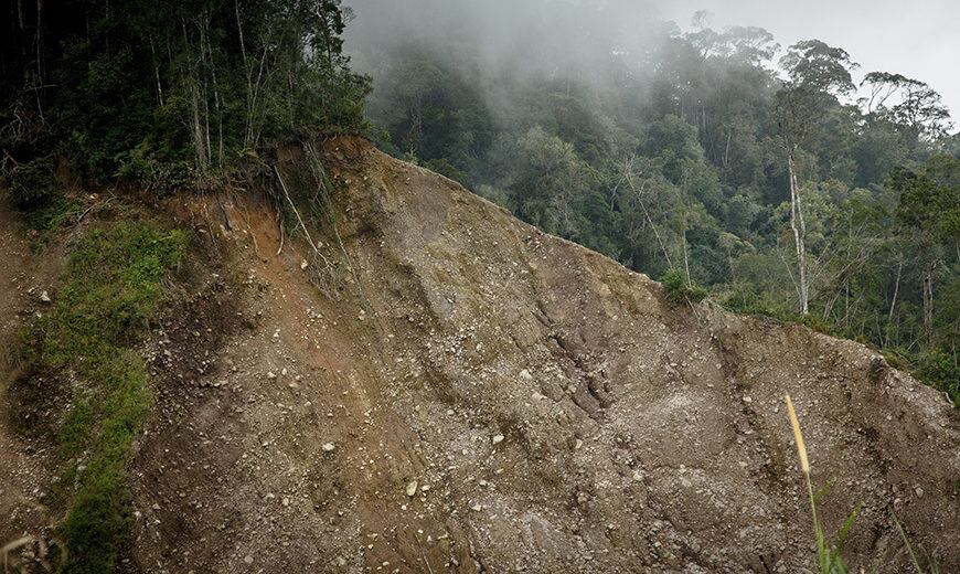 Fairtrade-Foundation-calls-on-UK-government-to-tighten-its-new-Environment-Bill-to-tackle-illegal-deforestation-in-supply-chains.jpg