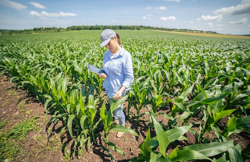 From-fields-to-food-How-the-plant-based-industry-can-boost-regenerative-agriculture.jpg