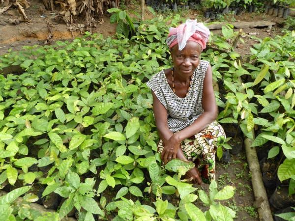 ResizedImage600450-Sierra-Leone-web.jpg