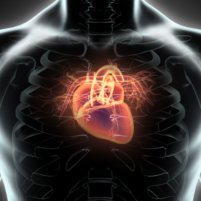 heart-cardiovascular-iStock-yodiyim.jpg