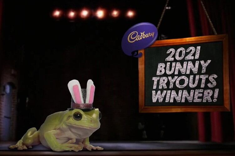 First-ever-amphibian-becomes-2021-Cadbury-Bunny.jpg