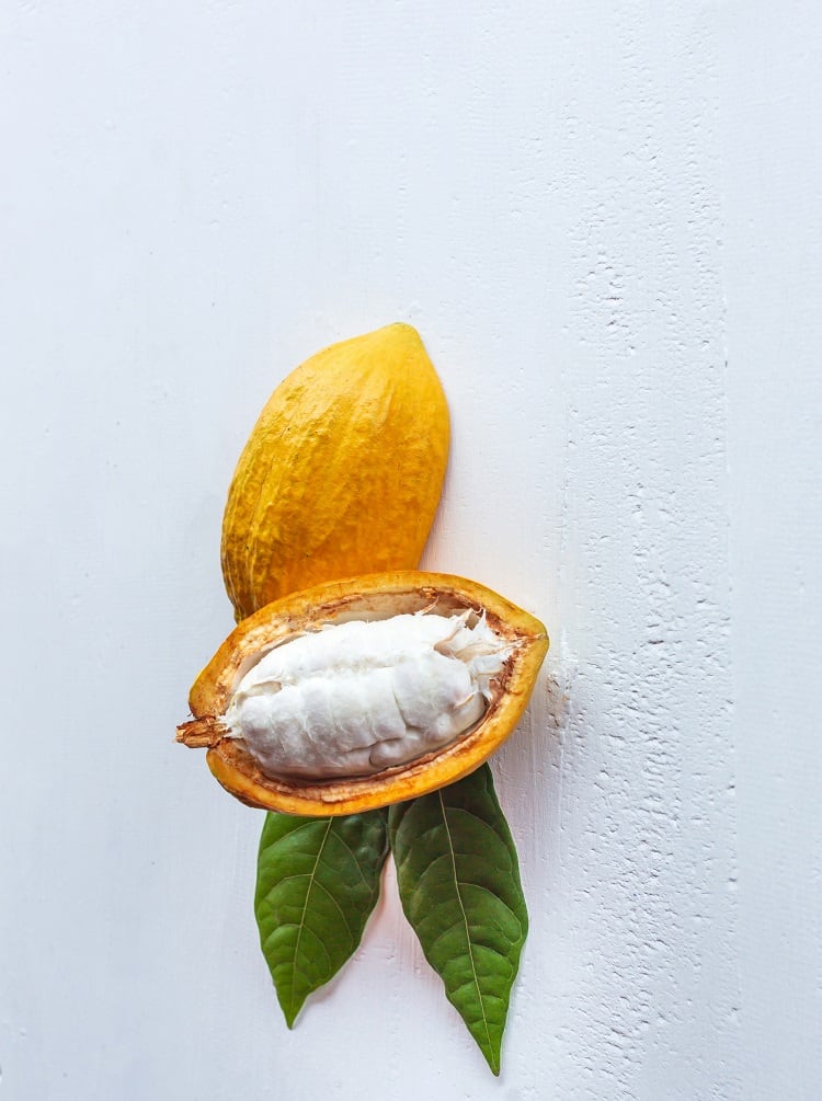 cocoa-Narong-KHUEANKAEW-2.jpg