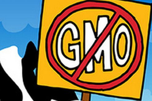 ben-and-Jerry-No-GMO.jpg