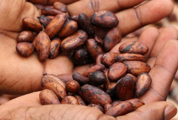 Easter scorecard: chocolate companies ranked for child labour and sustainability practices