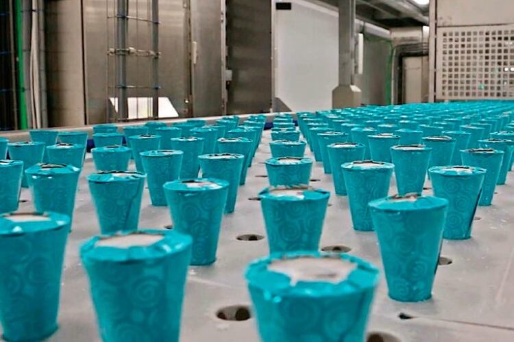 Ferrero acquires controlling stake in ice cream company ICFC