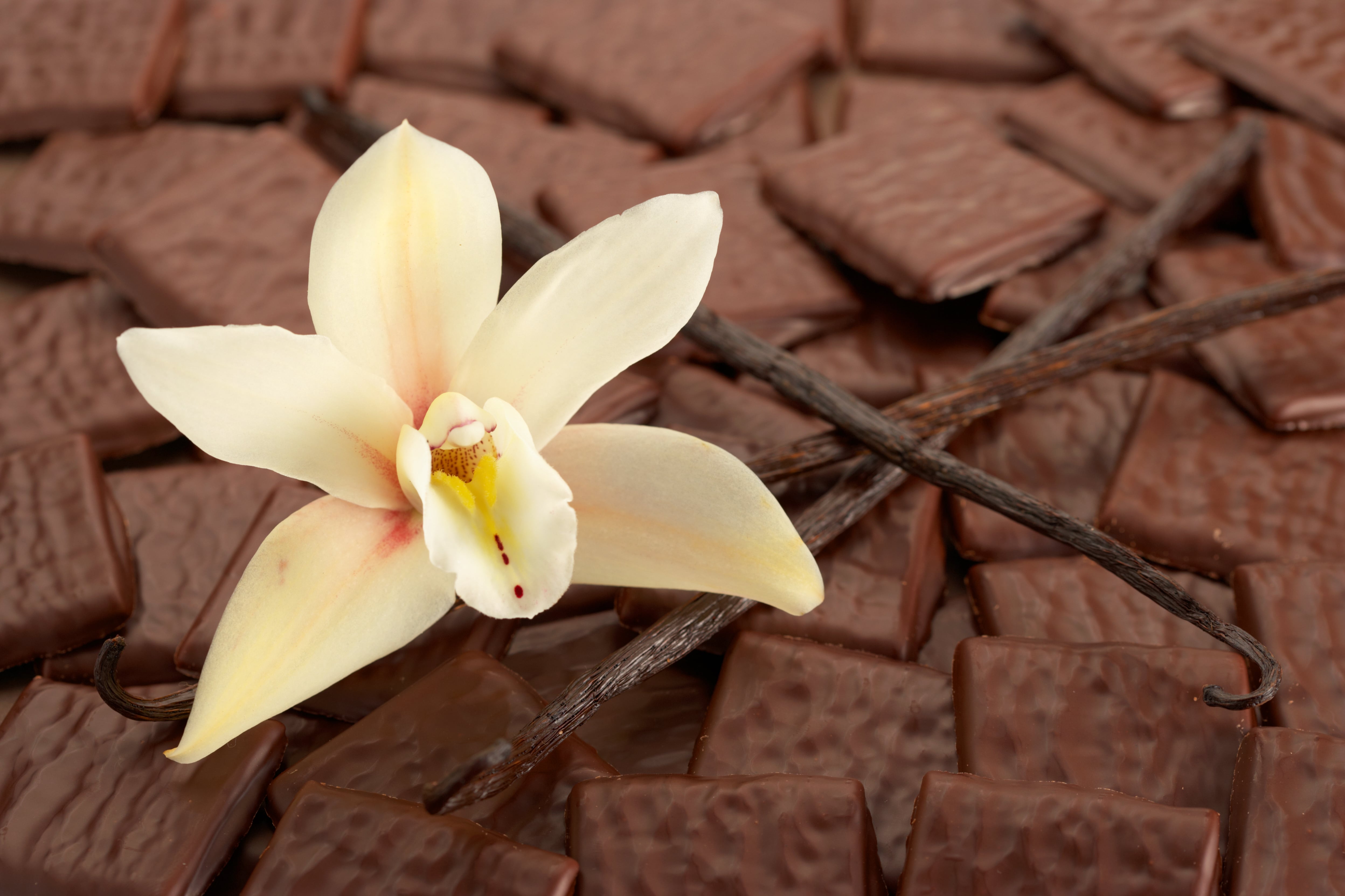 Is vanilla the go-to flavour for confectioners in 2025?