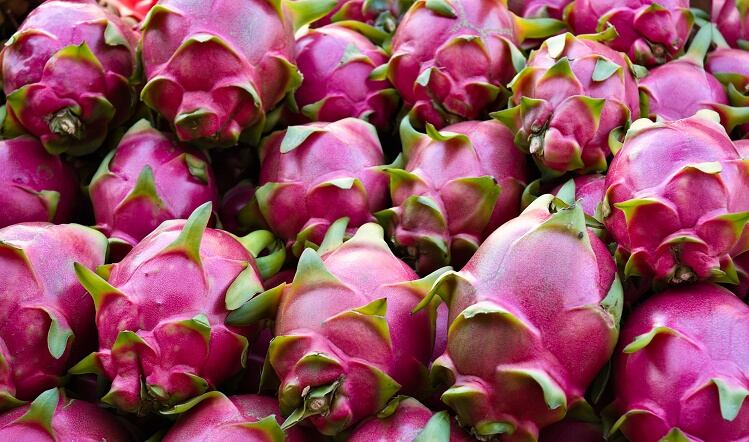 AI tool predicts regional flavour trends poised to go global 