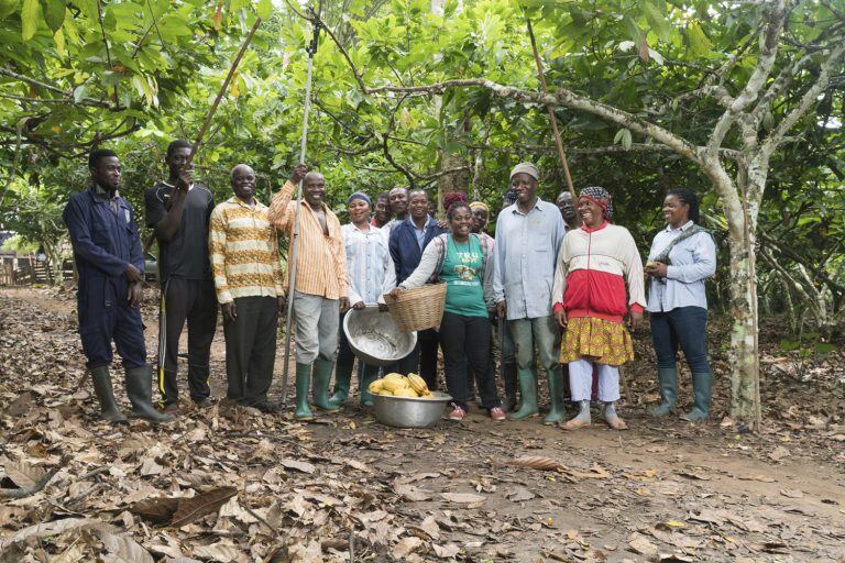 Cocoa industry pulls together to offer more financial support for farmers to help with COVID-19
