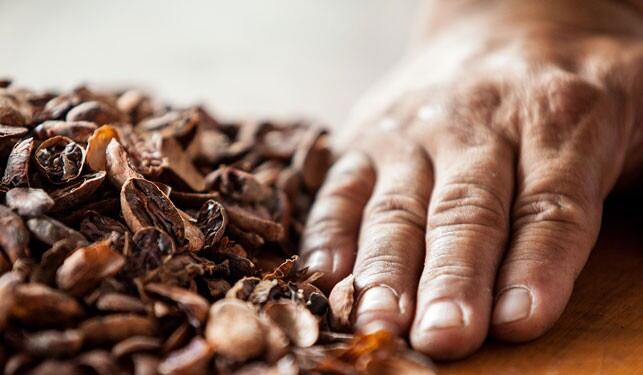 ECOM launches its first Smarter Cocoa Charter