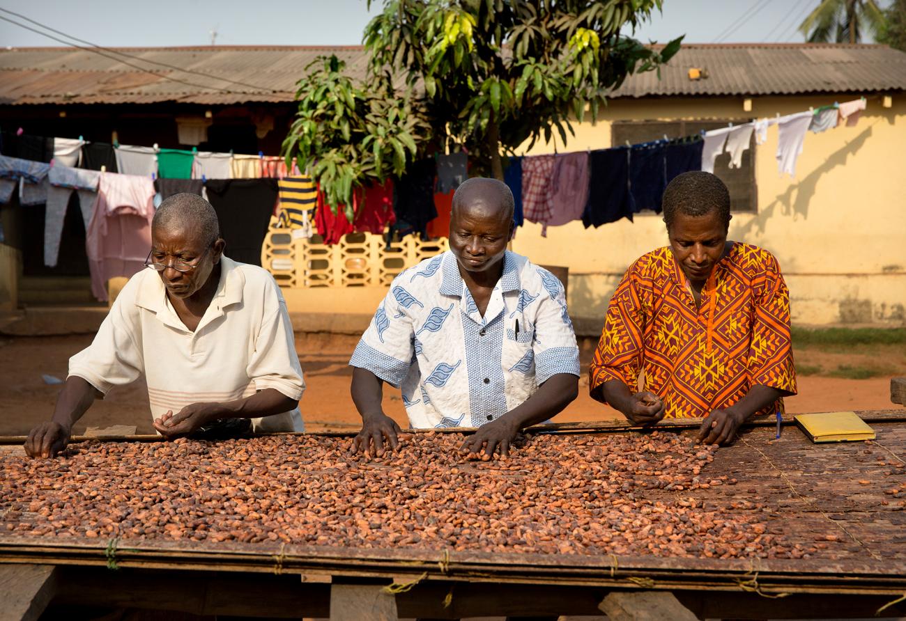 Chocolate Scorecard marks down companies over farmer income and pesticide use