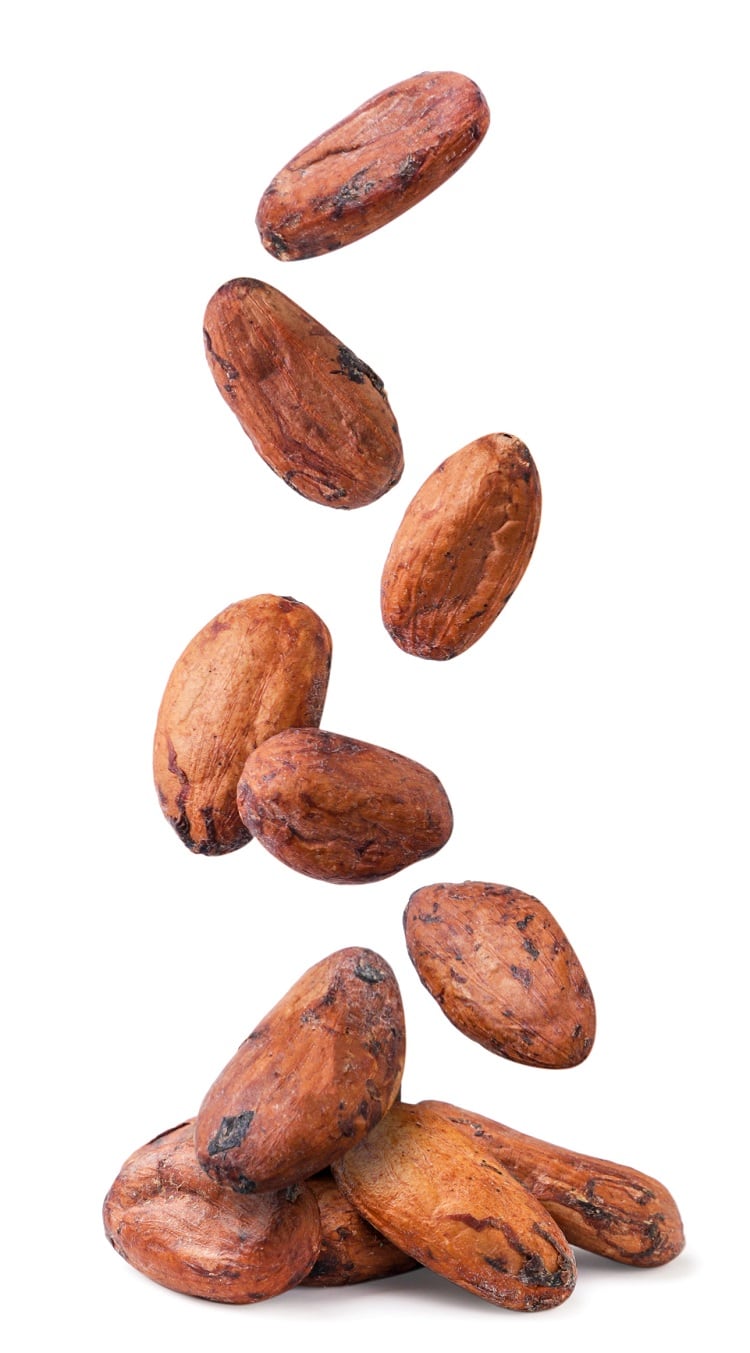 cocoa-beans-Inna-Tarasenko.jpg