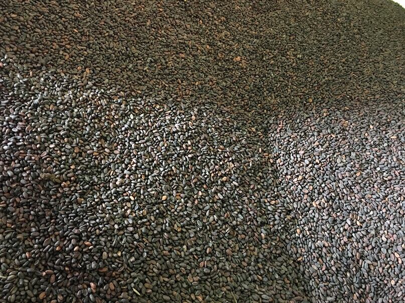 oversupply-cocoa.jpg